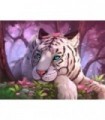 Dessin de tigre blanc, yeux azur Diamond Painting