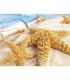Les étoiles de Mer sur le sable Diamond Painting