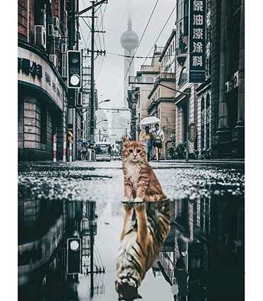 Diamond Painting Chats Love Diamond Painting