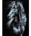 Black Horse Broderie Diamant