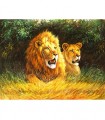 Couple de lions Broderie Diamant