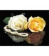 Duo de rose Broderie Diamant