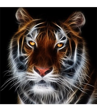 Black Tiger Broderie Diamant