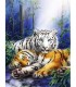 Coupe Tigre et Tigre blanc Diamant