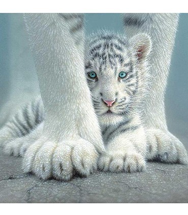 Bebe Tigre Blanc Diamant Love Diamond Painting Bebe Tigre Blanc Diamant Love Diamond Painting