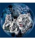 Tigres Blanc Diamant
