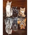 Reflet chatons en tigre et panthère Broderie Diamant