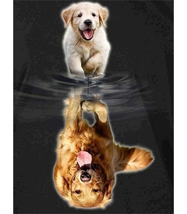 Reflet Golden en adulte Broderie Diamant