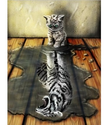 Reflet chaton en tigre blanc Broderie Diamant