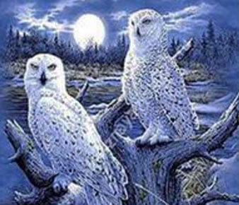 Diamond painting Animaux